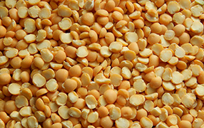 large scale photo of yellow split peas